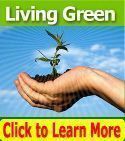 Living Green 