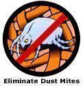 Eliminate Dust Mites when you Vacuum